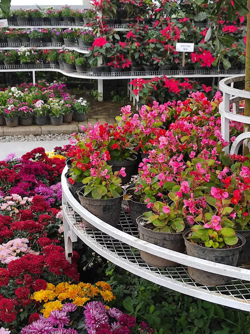 Garden Essentials