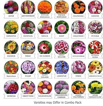 Varieties of Flower Seeds and Supplement(Pack of 1)