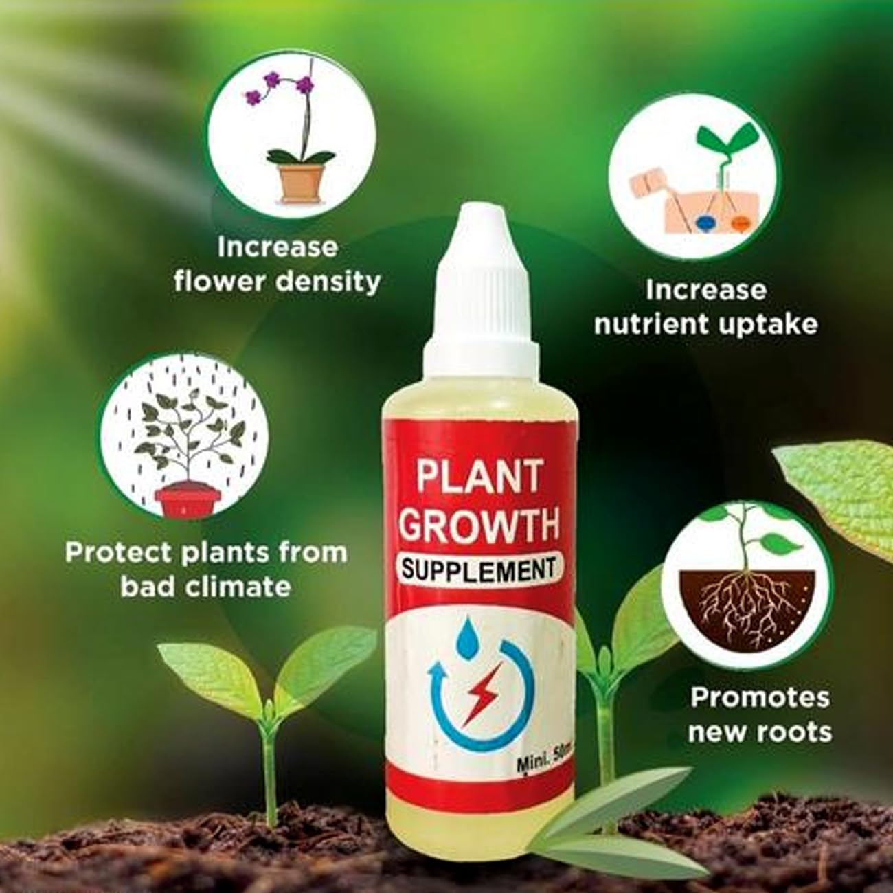 Giant Blueberry Fruits seeds Pack and  plant growth supplement