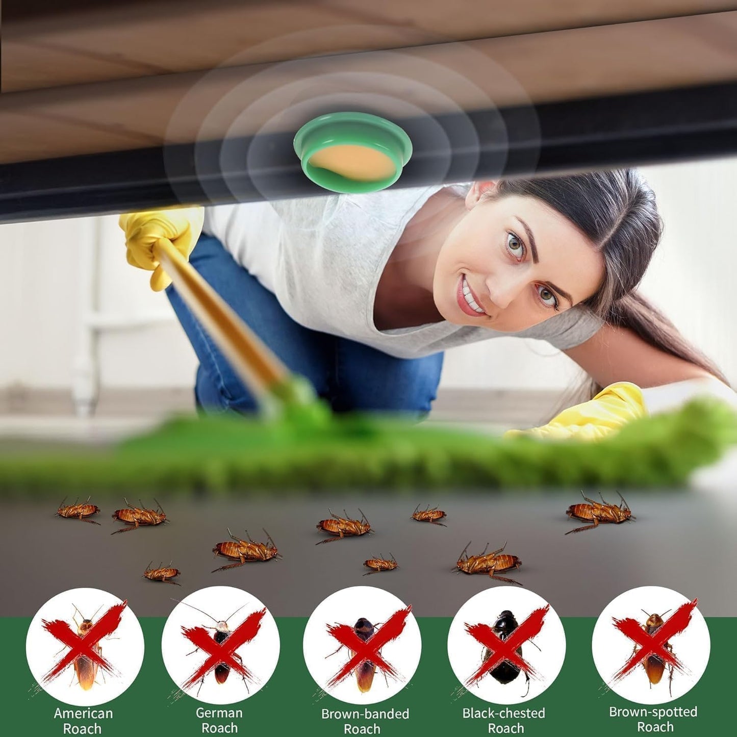 Strong Cockroach Killer Gel (Pack of 12)